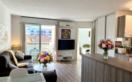 Vauban -Beau 2 p en étage élevé avec terrasse