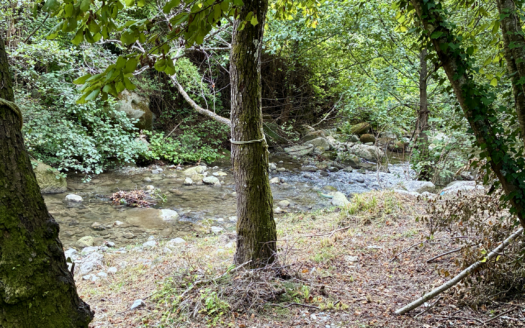 Bendejun appartement avec terrain donnant accès à la rivière