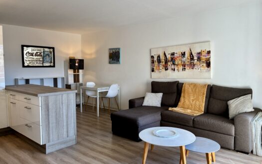 Vauban -Beau 2 p en étage élevé avec terrasse